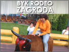 Byk Rodeo Zagroda