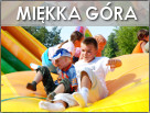 Grota